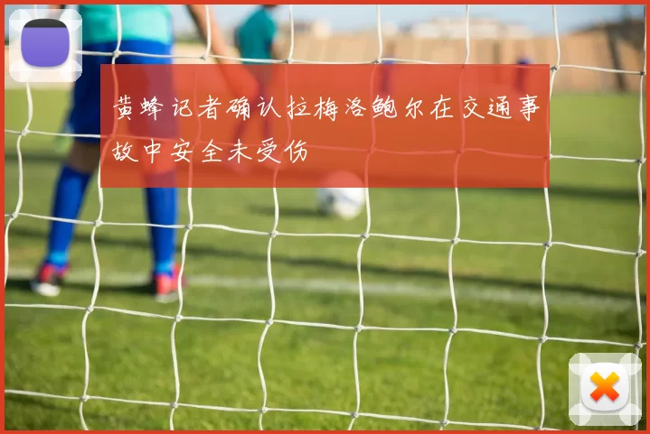 黄蜂记者确认拉梅洛鲍尔在交通事故中安全未受伤