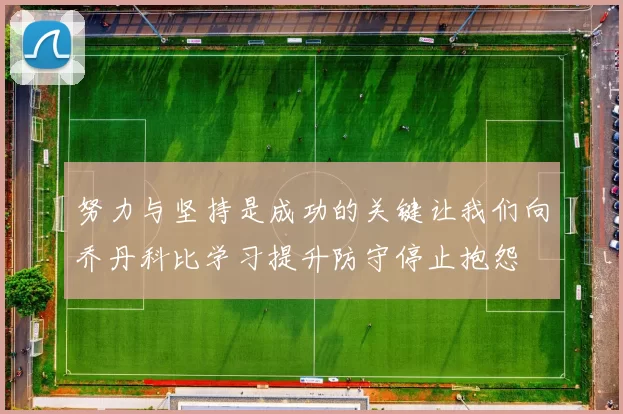 努力与坚持是成功的关键让我们向乔丹科比学习提升防守停止抱怨